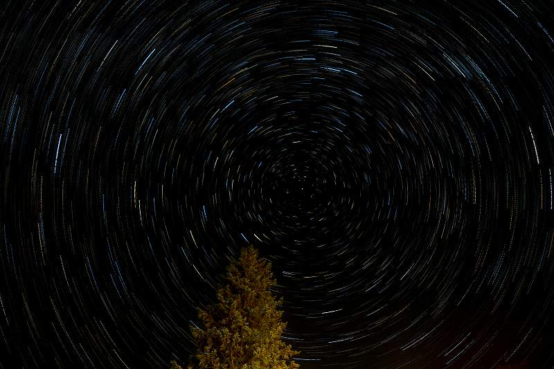 I Am Sure I Am Spinning_Stephen Harper.jpg